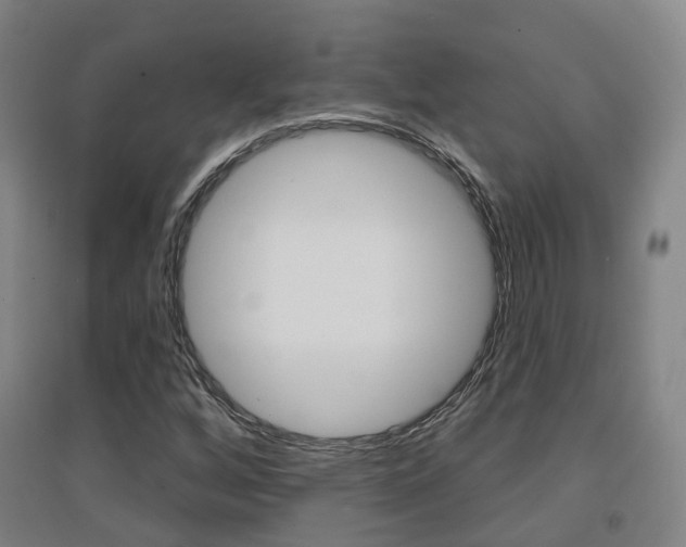 X0000094461256200711081051