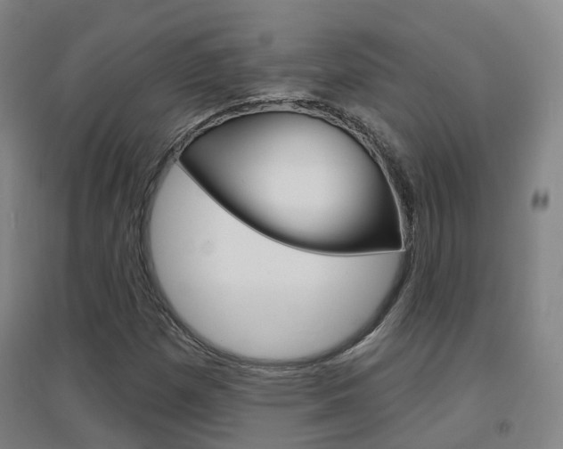 X0000094461257200711081051