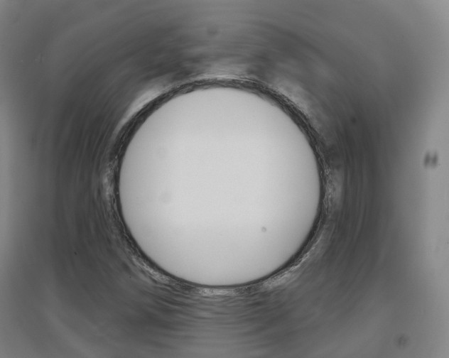 X0000094461258200711081051