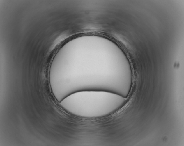 X0000094461259200711081051
