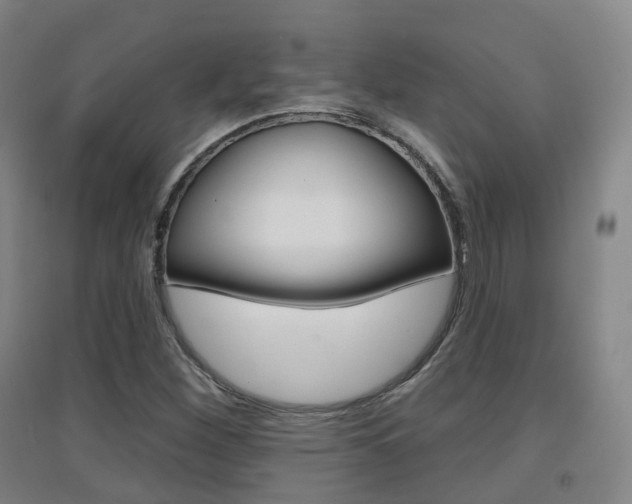 X0000094461260200711081051