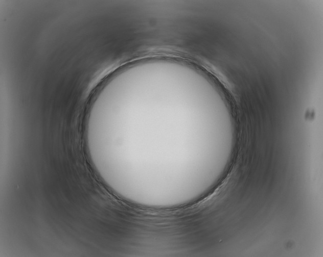 X0000094461261200711081050