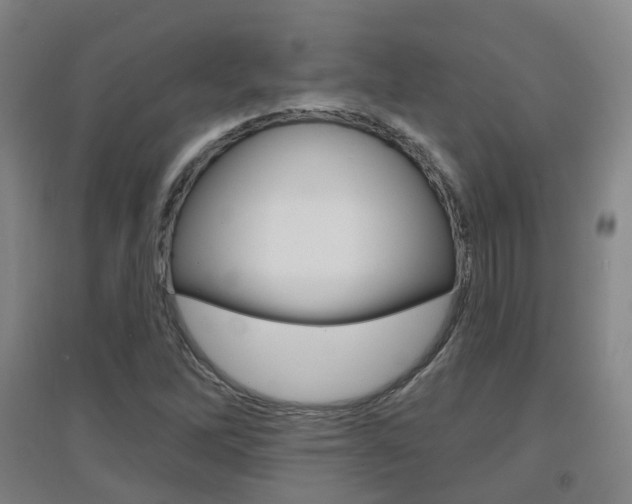 X0000094461262200711081050