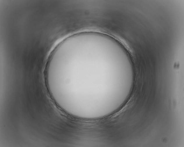 X0000094461264200711081050