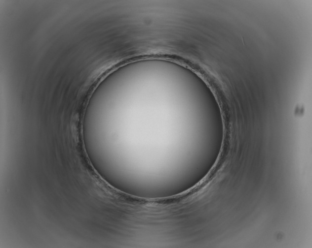 X0000094461265200711081050