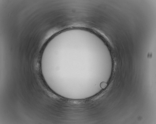 X0000094461266200711081050