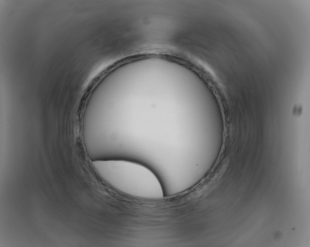 X0000094461267200711081050