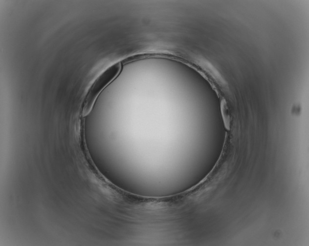 X0000094461268200711081050