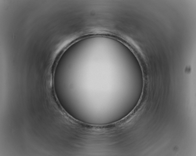 X0000094461269200711081050