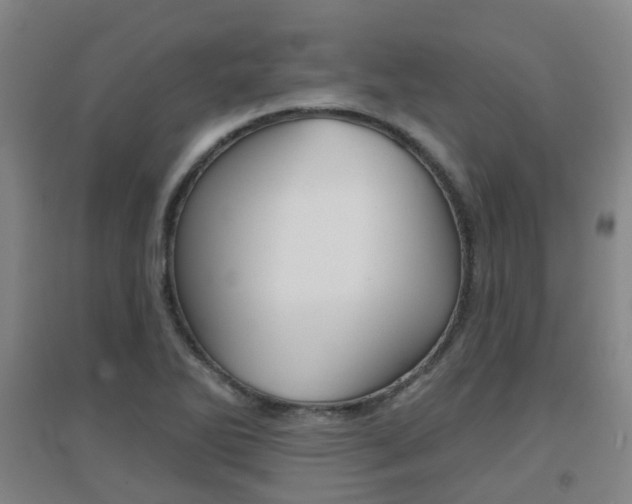 X0000094461270200711081050