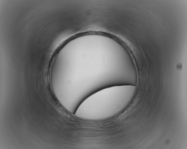 X0000094461271200711081050