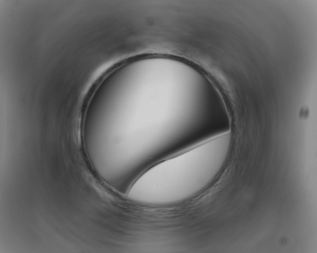 X0000094461272200711081050
