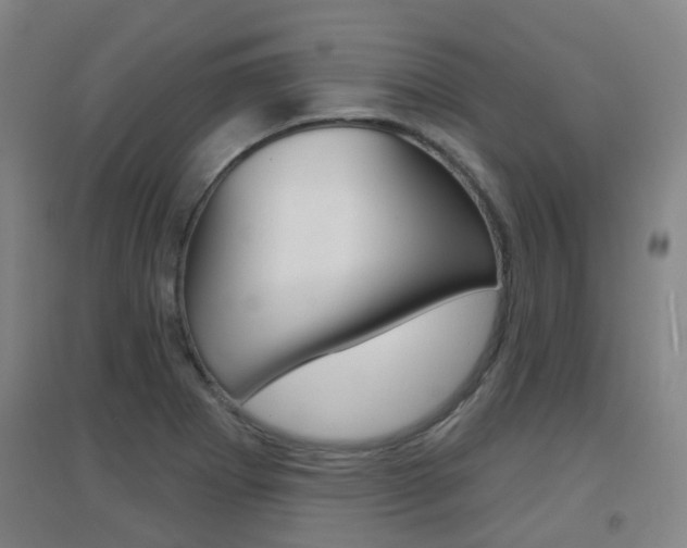 X0000094461273200711081050