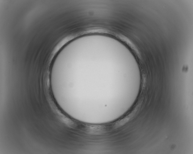 X0000094461274200711081050