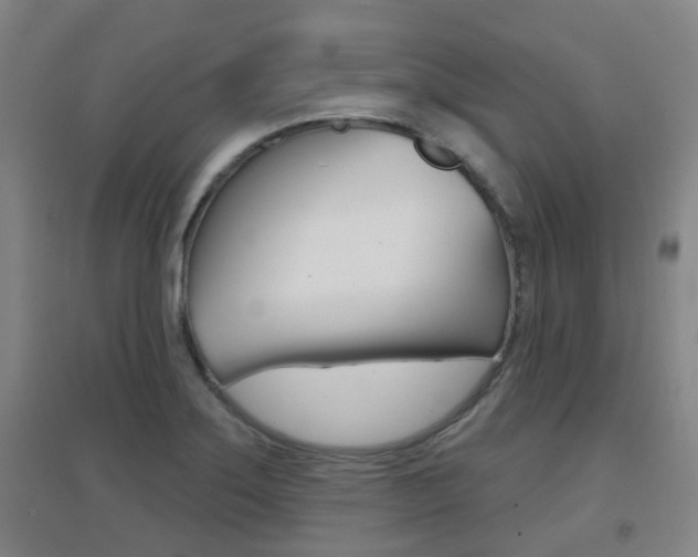 X0000094461275200711081050