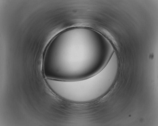 X0000094461276200711081050