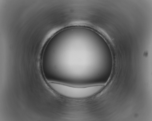 X0000094461277200711081050