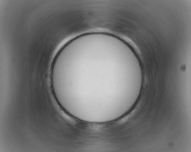 X0000094461278200711081050