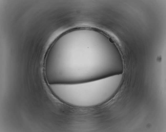 X0000094461279200711081050