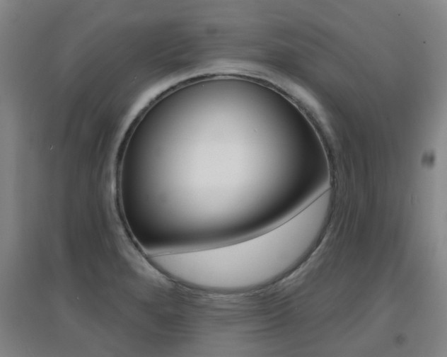 X0000094461280200711081050