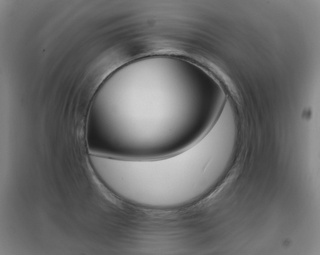 X0000094461281200711081050