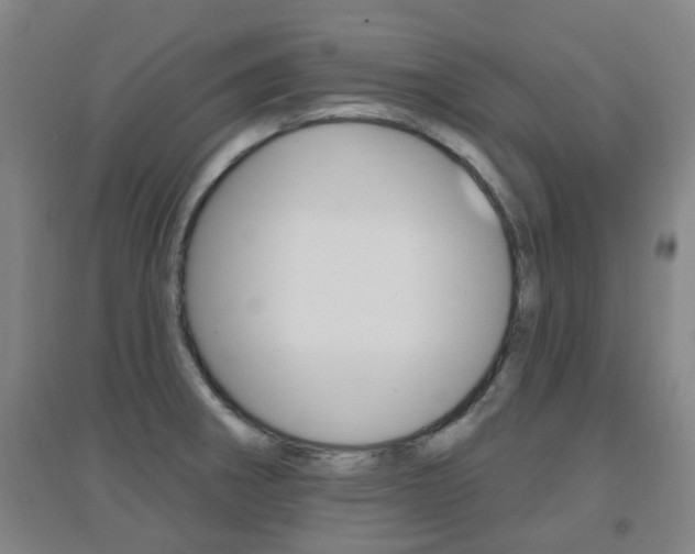 X0000094461282200711081050