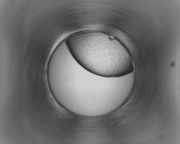 X0000094461283200711081050