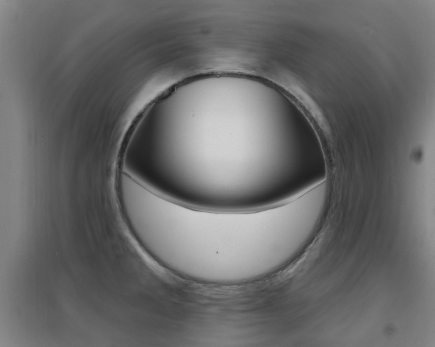 X0000094461285200711081050