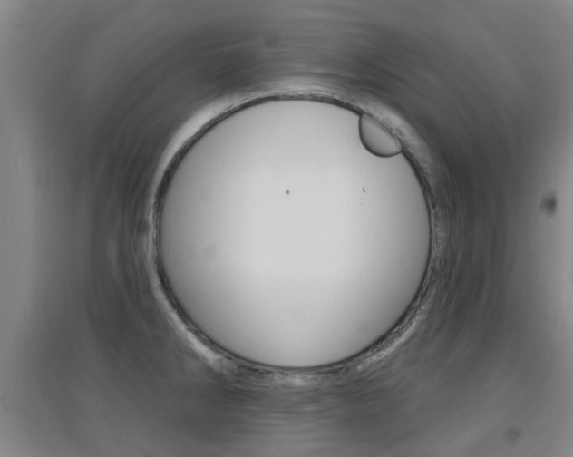 X0000094461286200711081050