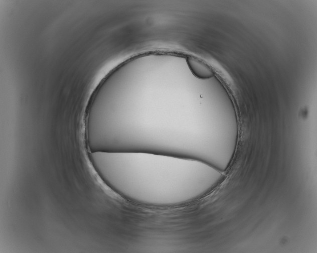 X0000094461287200711081050