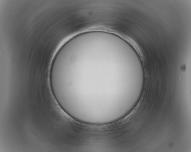 X0000094461288200711081050