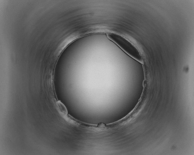 X0000094461289200711081050