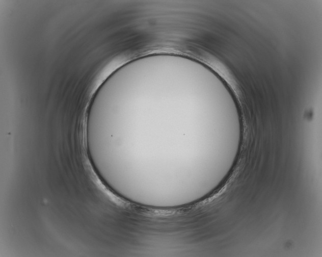 X0000094461290200711081050