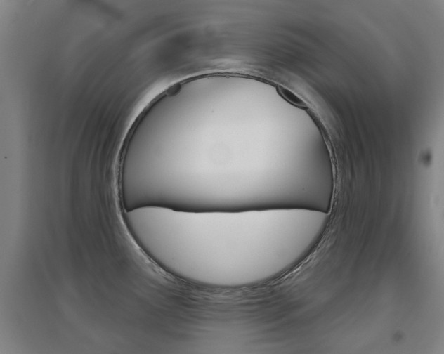X0000094461291200711081050