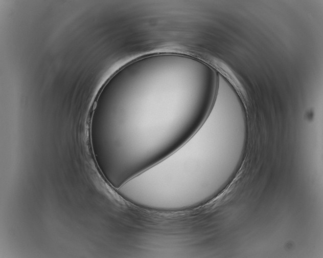 X0000094461292200711081050
