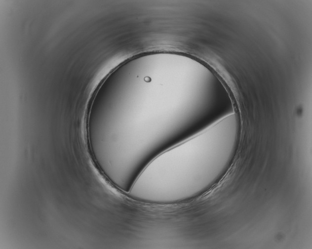 X0000094461293200711081050