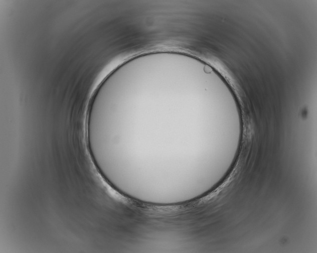 X0000094461294200711081050