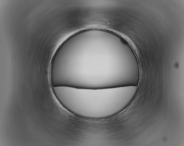 X0000094461295200711081050