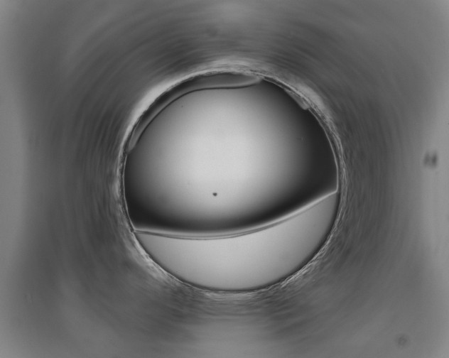 X0000094461296200711081050