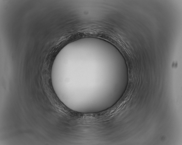 X0000094461297200711081049