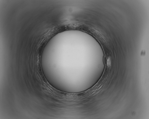 X0000094461299200711081049