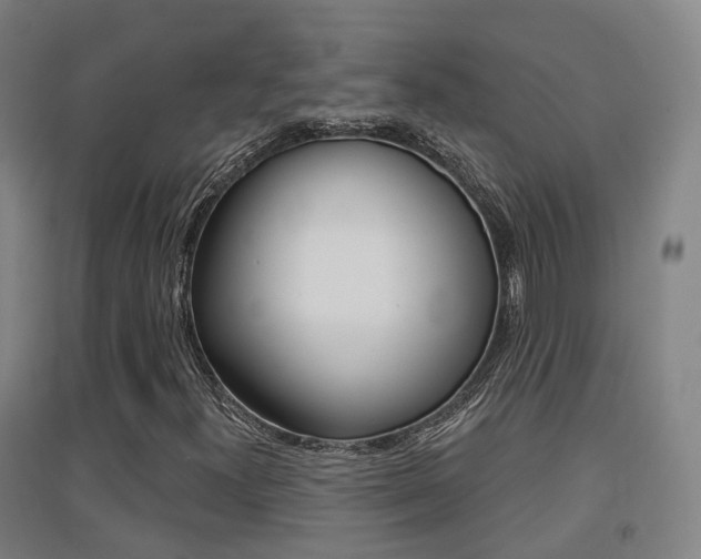 X0000094461300200711081049