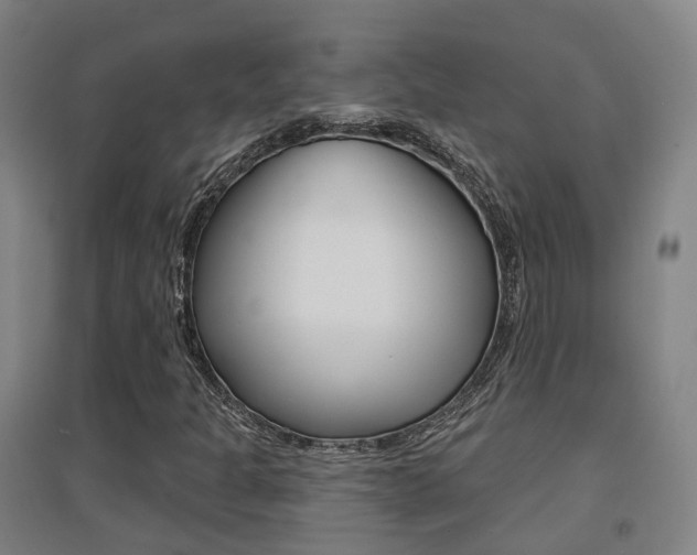 X0000094461301200711081049