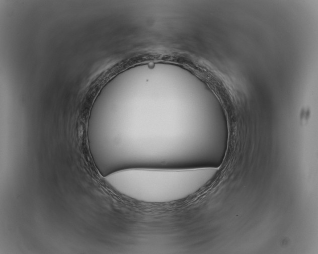 X0000094461302200711081049