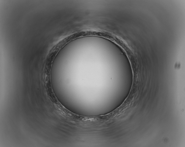 X0000094461303200711081049