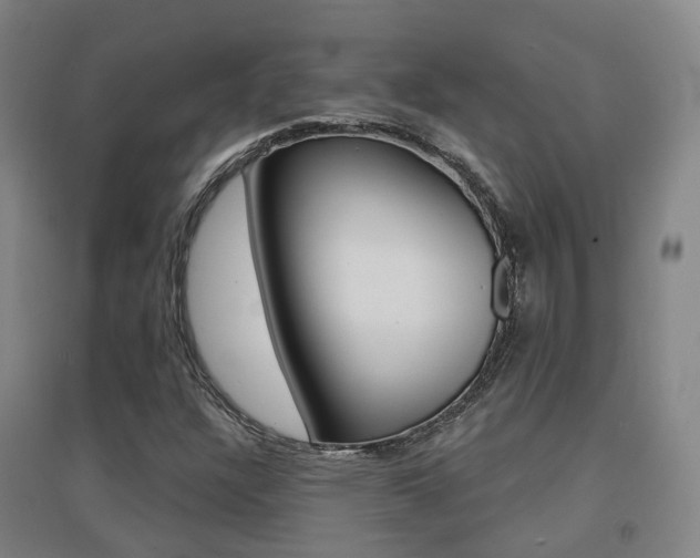 X0000094461304200711081049