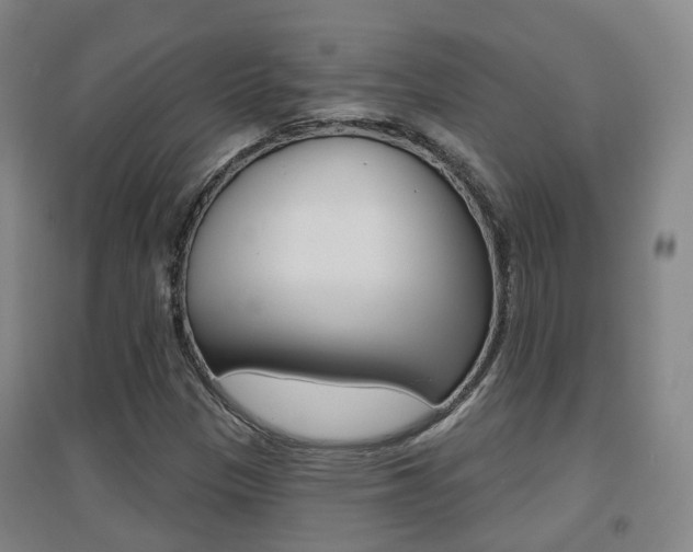 X0000094461305200711081049