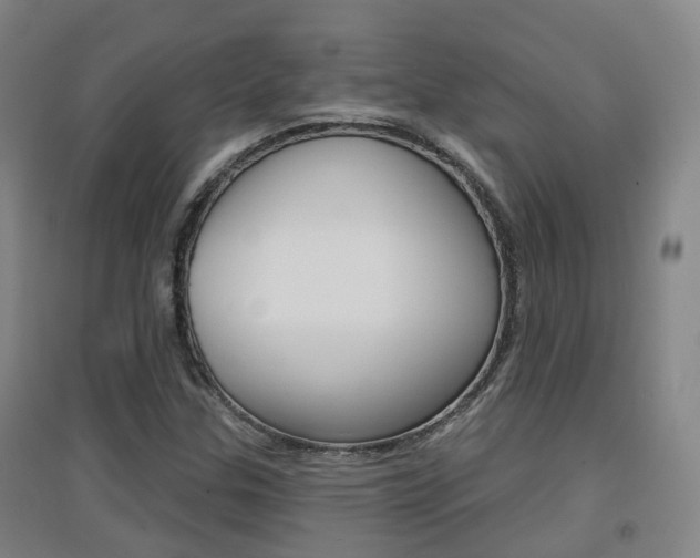 X0000094461307200711081049