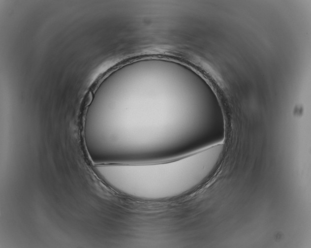 X0000094461308200711081049