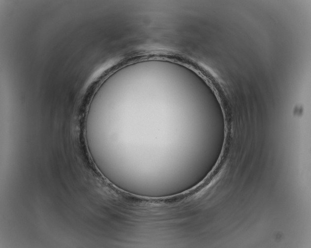 X0000094461309200711081050